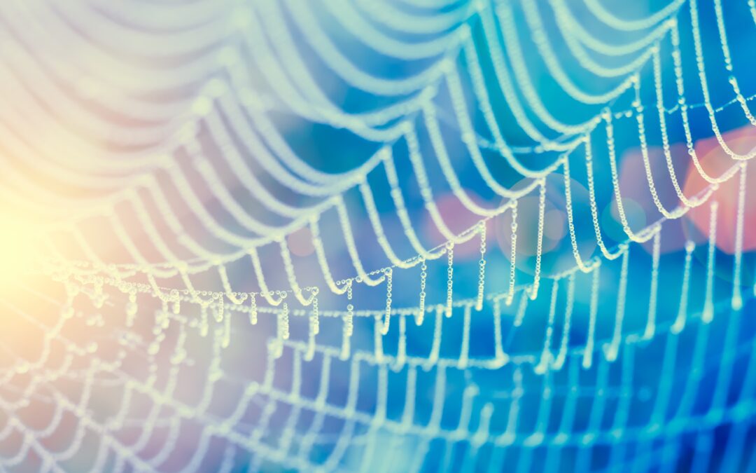 Discovering the Web of Life